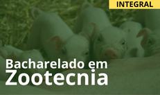 Banner Bacharelado em Zootecnia