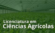 Banner Licenciatura em Ciências Agrícolas