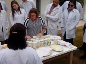2018 - Visita Técnica Agroindústria de Palmito - Marilândia